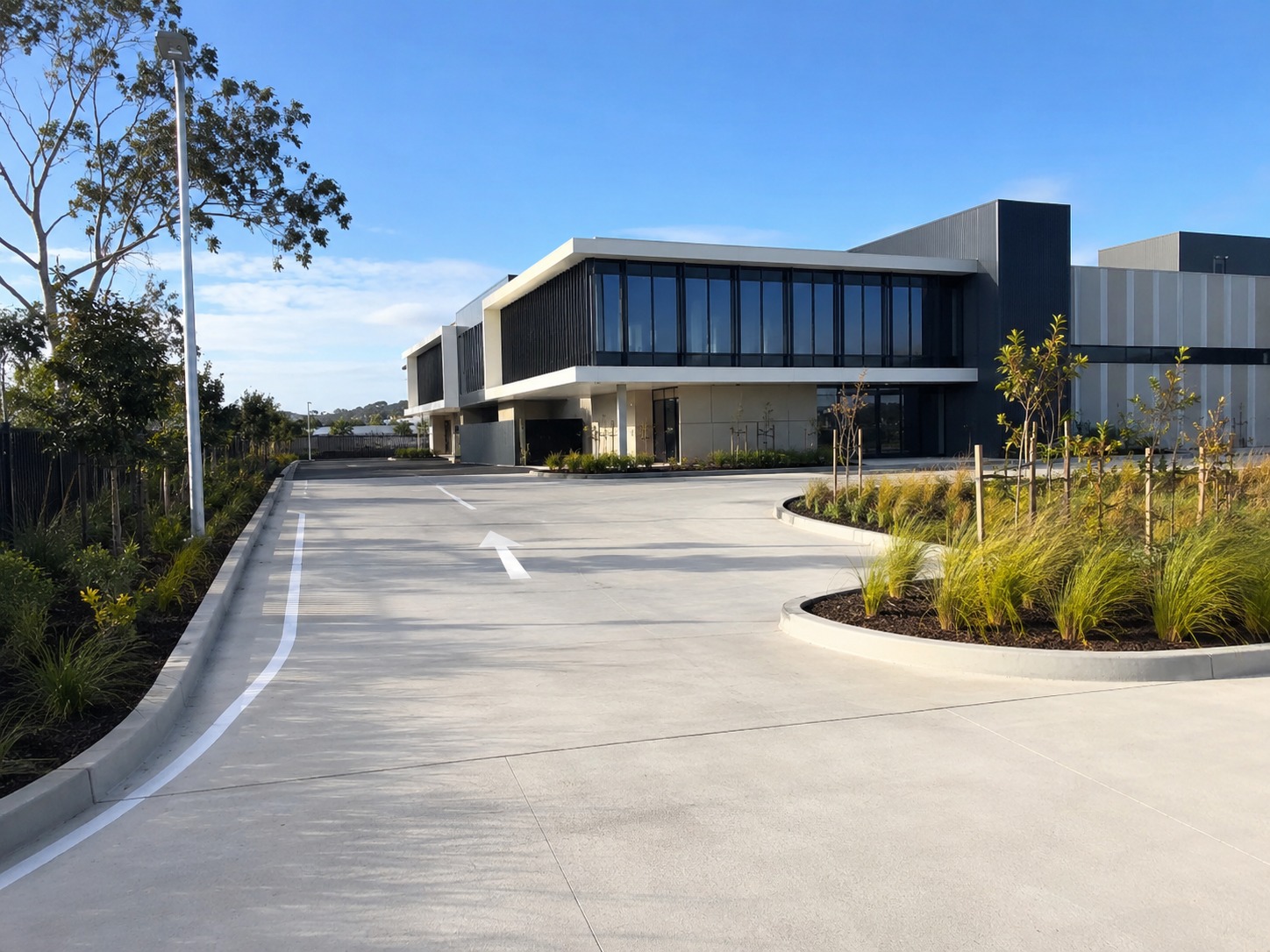 Commercial concrete driveway access for a Tauranga business