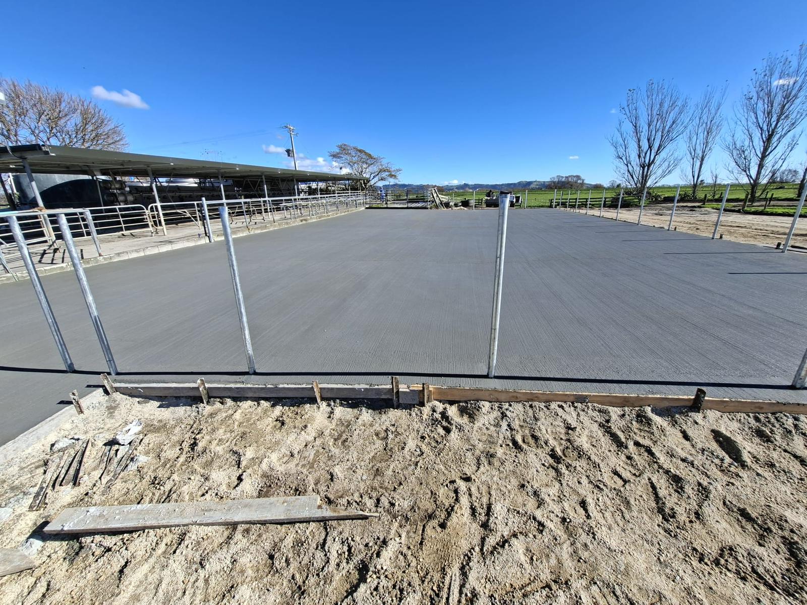 Full-width dairy shed concrete standoff yard in Tauranga